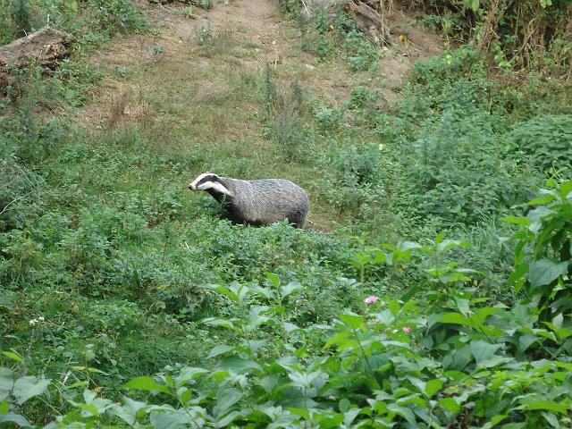 Damenfahrt Otterzentrum 005.jpg